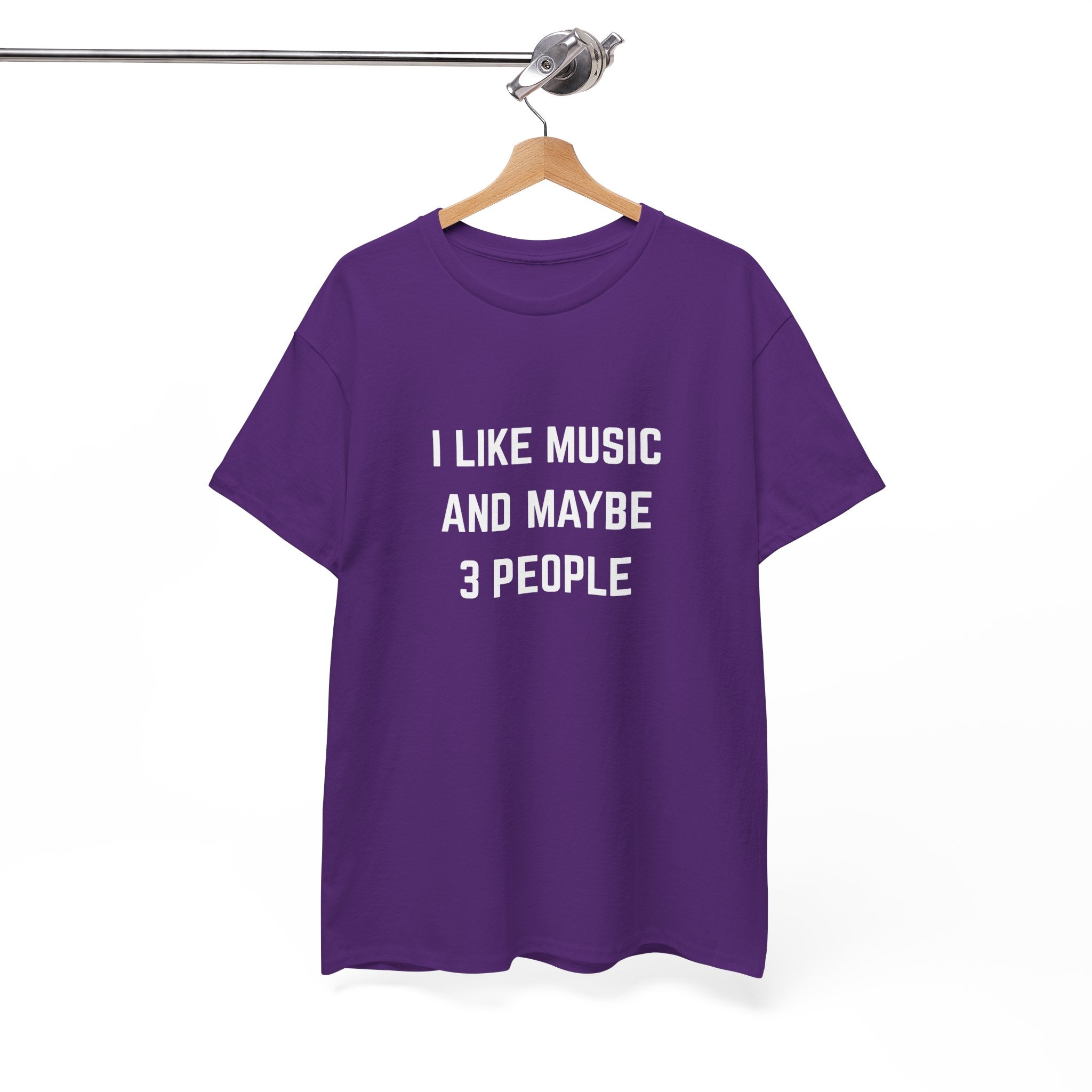 I Like Music And Maybe 3 People T-Shirt - Funny Music Lover Graphic Tee