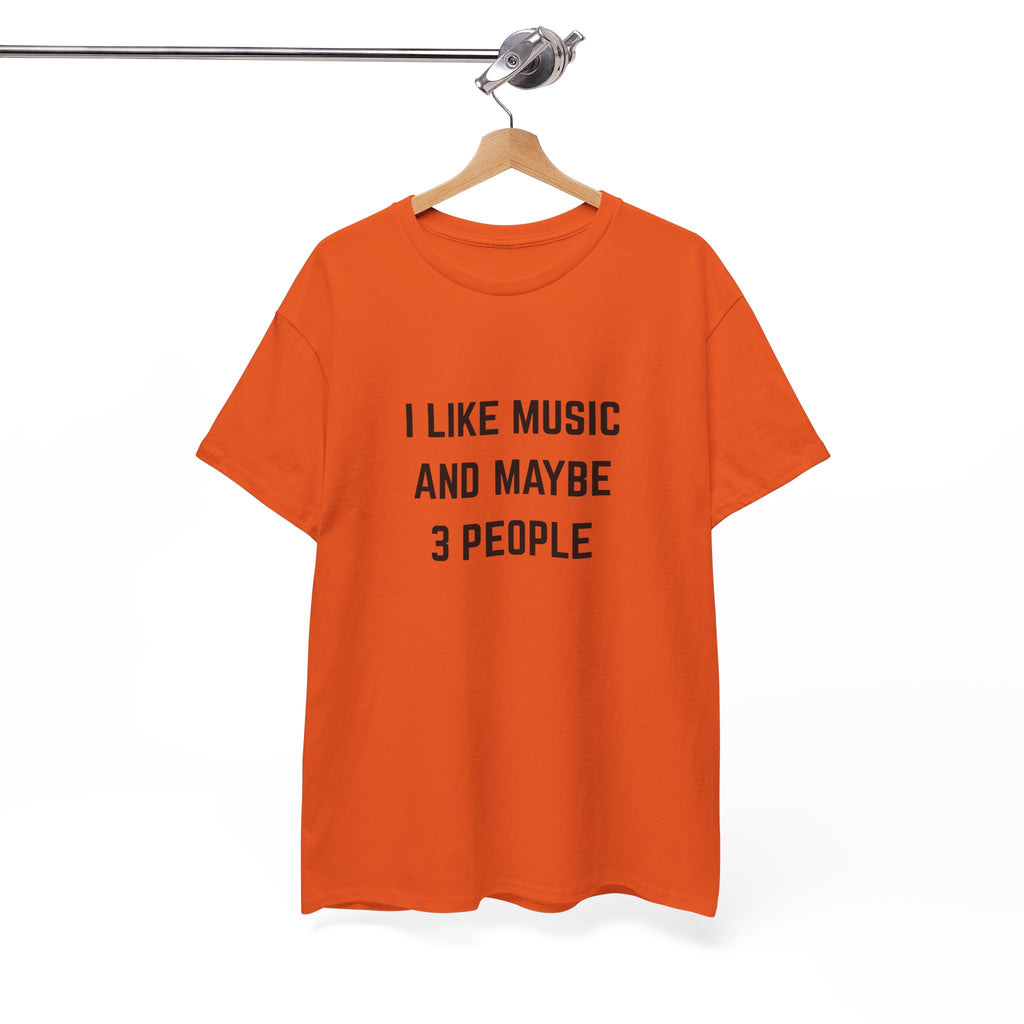 I Like Music And Maybe 3 People T-Shirt - Funny Music Lover Graphic Tee